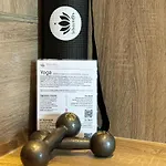 酒店 尼尔斯泰恩莱茵酒店 3*