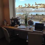 Rhein-hotel Hotel