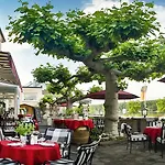 酒店 尼尔斯泰恩莱茵酒店 3*