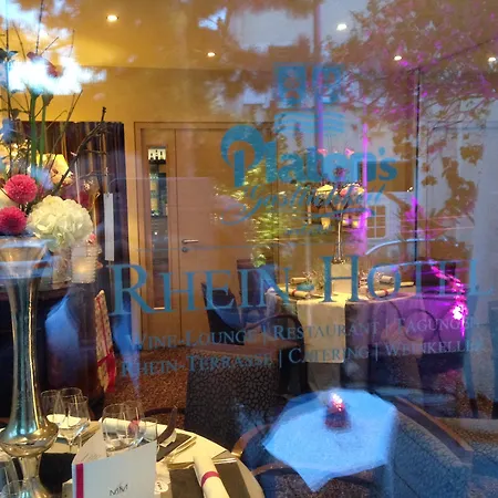 Rhein-hotel Hotel 3*