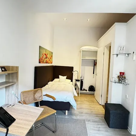 Hotel Rhein-hotel 3*