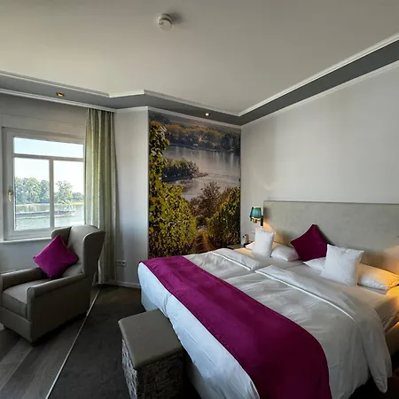فندق Rhein-hotel 3*
