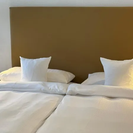 Hotel Rhein-hotel 3*