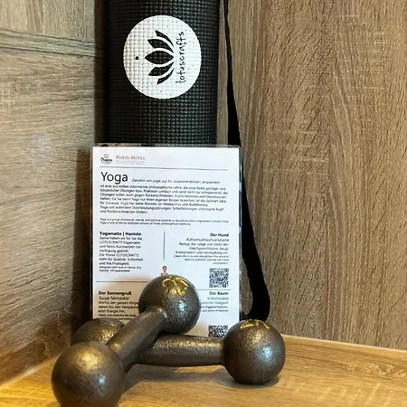 Hotel Rhein-hotel 3*