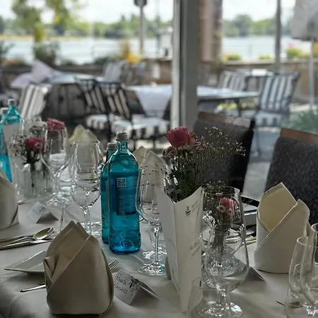 Rhein-hotel فندق