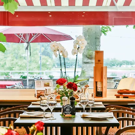 فندق Rhein-hotel