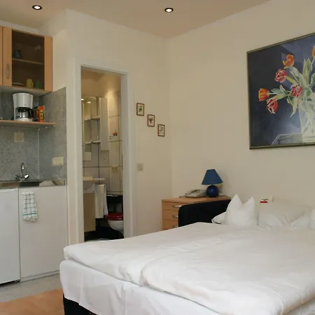 Rhein-hotel فندق