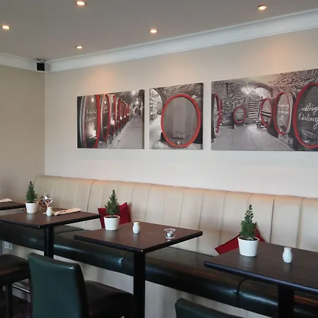 Rhein-hotel فندق نيرستين