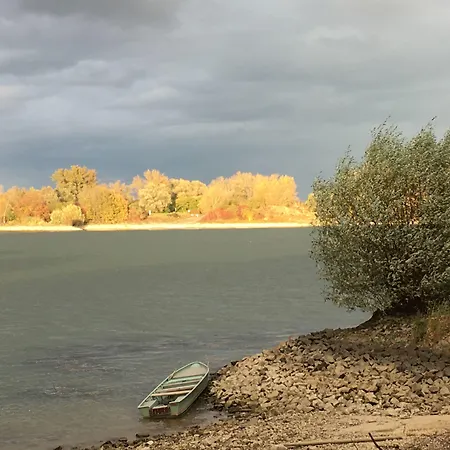 Rhein-hotel 3* نيرستين