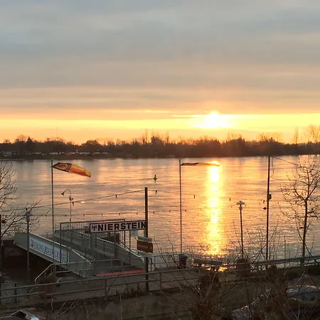 Rhein-hotel