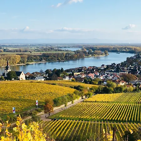Rhein-hotel فندق 3*