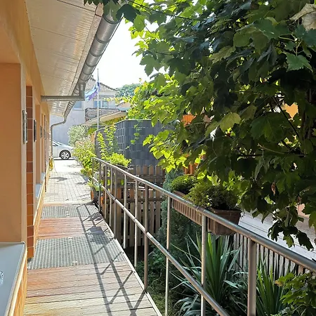 فندق Rhein-hotel