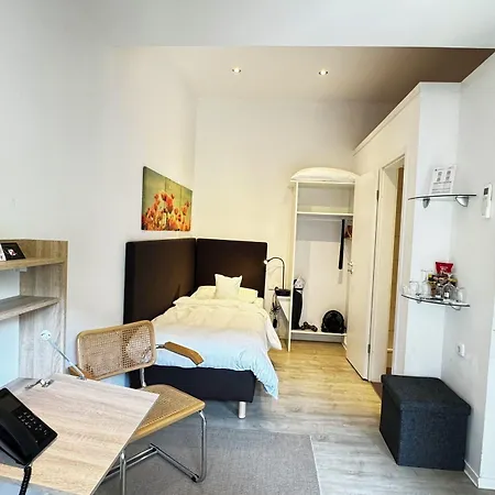 فندق Rhein-hotel 3*