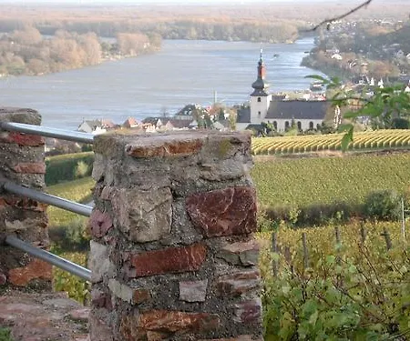 فندق Rhein-hotel 3*