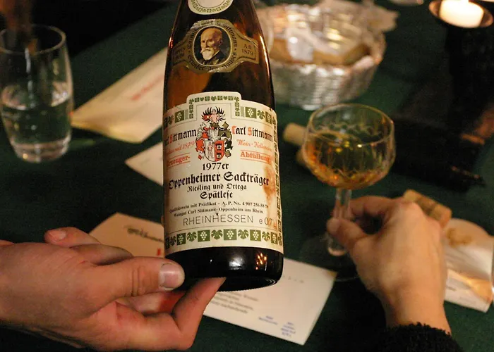 Hotel Rhein-hotel 3*