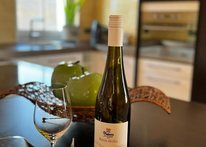 Hotel Rhein-hotel Nierstein