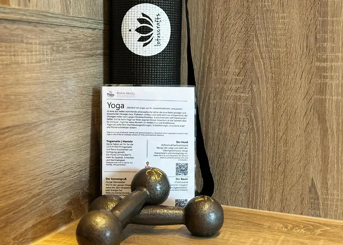 Hotel Rhein-hotel 3*