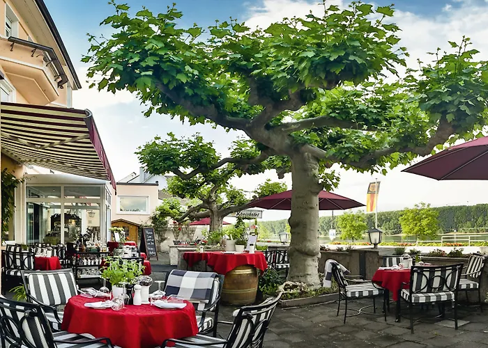 Hotel Rhein-hotel 3*