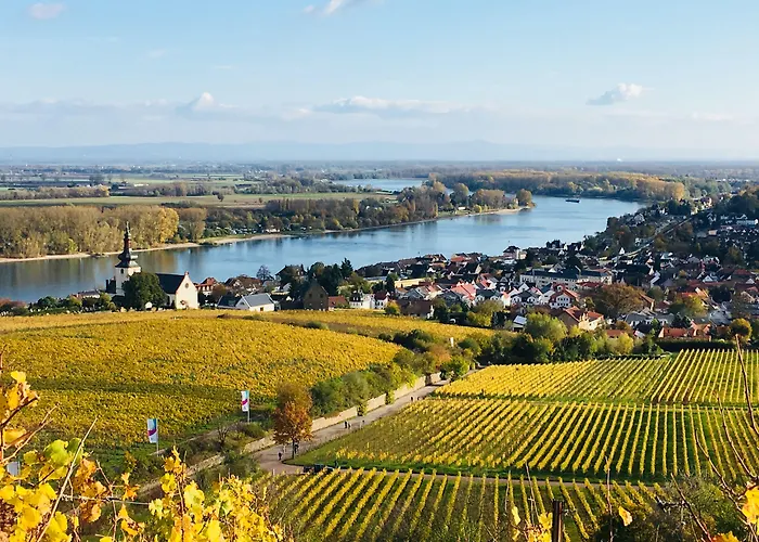 Rhein-hotel Hotel 3*